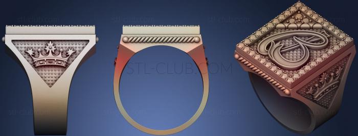 3D модель Кольцо 163 (STL)